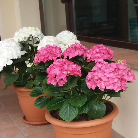 Il Fienile Holiday Home Le Fornacette المظهر الخارجي الصورة
