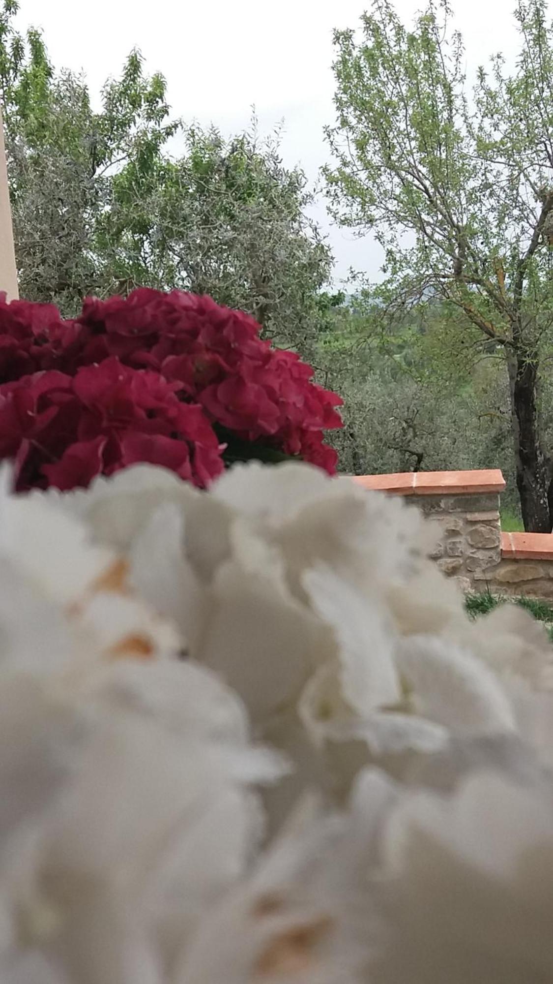 Il Fienile Holiday Home Le Fornacette المظهر الخارجي الصورة